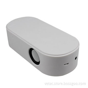 Induction Speaker for Cellphone
